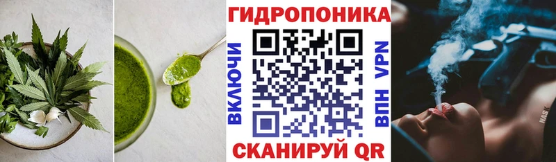 ссылка на мегу онион  как найти закладки  Краснокаменск  Cannafood марихуана 