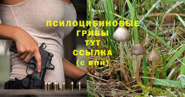 хмурый Балабаново
