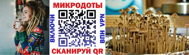 Псилоцибиновые грибы Psilocybine cubensis  что такое наркотик  Краснокаменск 